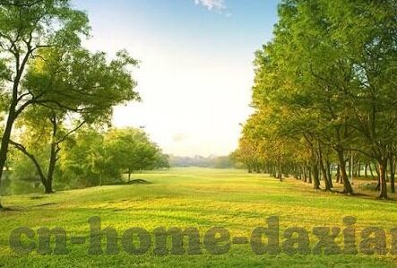 av日韩电影在线-日韩电影在线，AV电影的多元视角与文化探索