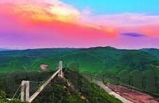 大象传媒怎么登录-大象传媒登录指南，轻松解锁精彩内容
