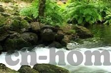 麻豆传媒部-麻豆传媒部，创新视界的幕后推手