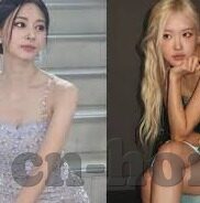 人妻不卡一区-探索人妻角色的多元面向，超越一区界限的深度理解