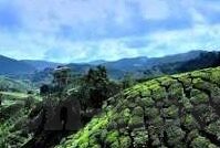 糖心app苹果-解码糖心在苹果世界的甜蜜秘密 —— 一场科技与美学的优雅邂逅