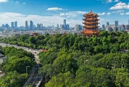 亚洲伦理片-亚洲伦理片，文化、社会与人性探索的独特视角