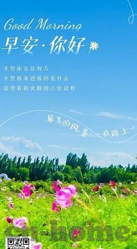 最新韩国伦理剧站在线观看-最新韩国伦理剧，在线观看的多元视角与文化探讨