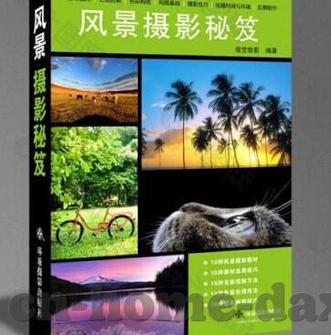 最新午夜日韩AV福利-午夜日韩影视新潮流，探索成人娱乐的多元视角